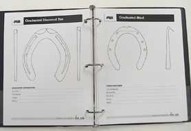 Bloom Book of Shoes
