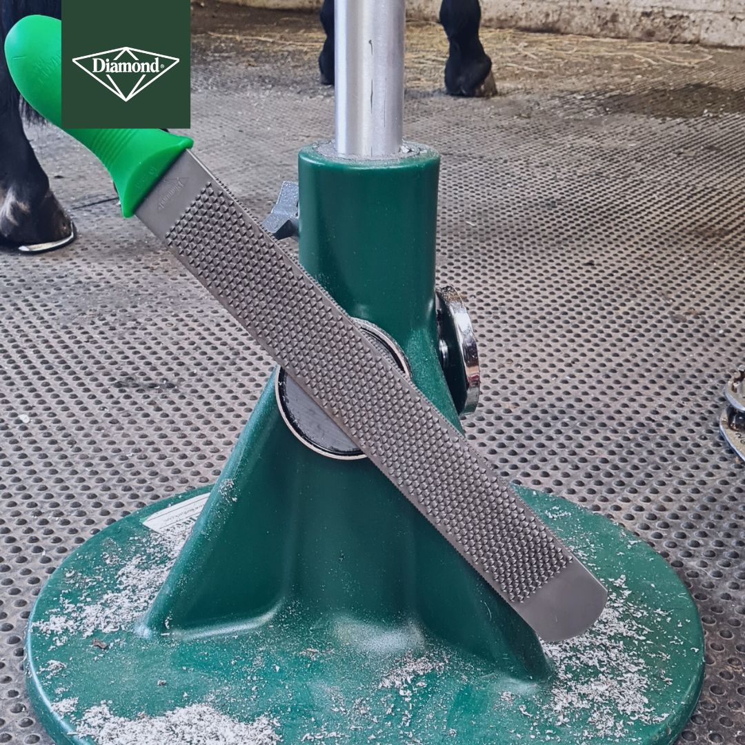 Diamond Max Glide Rasp