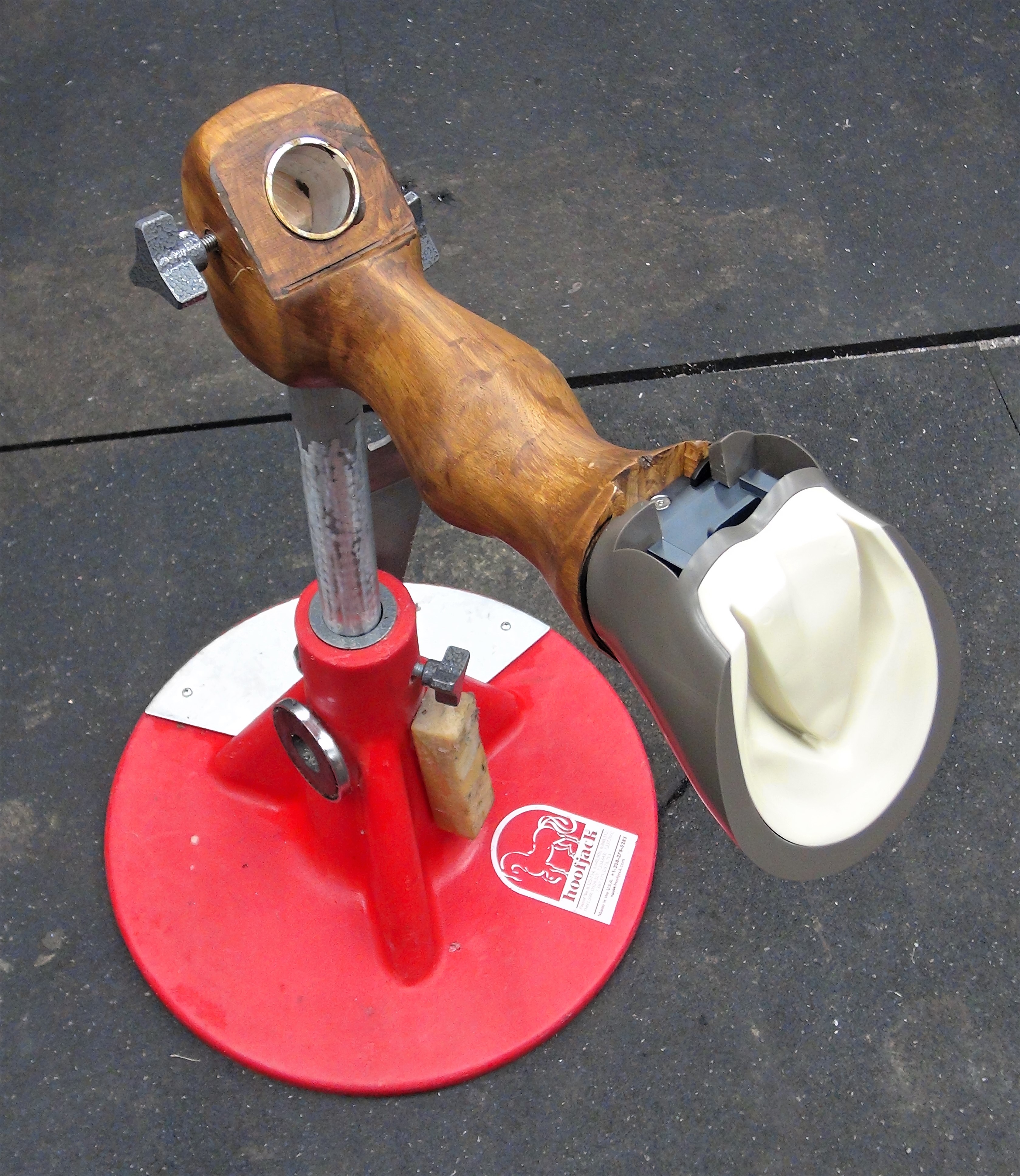 Training Limb