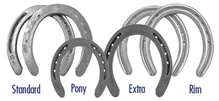 Standard Series