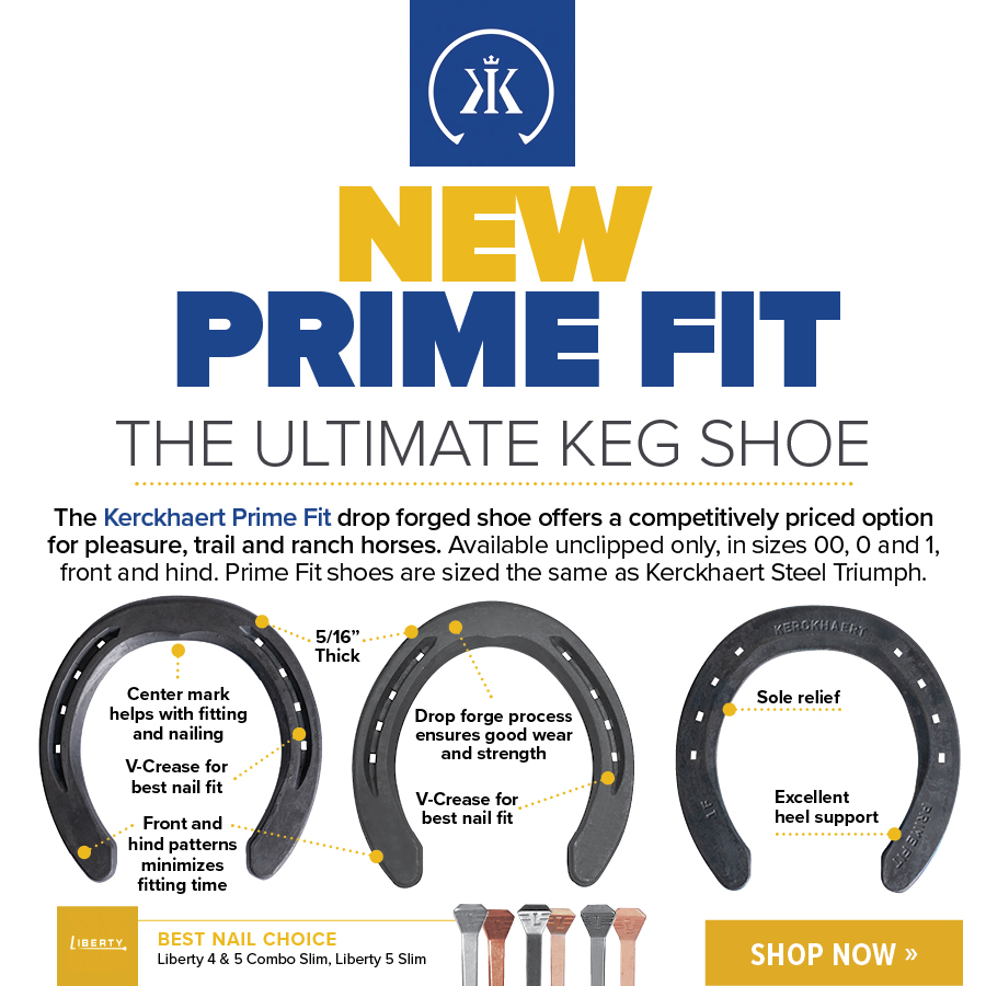 Prime Fit 1H UC 10pr