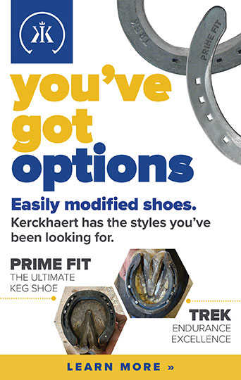 Prime Fit 1H UC 10pr