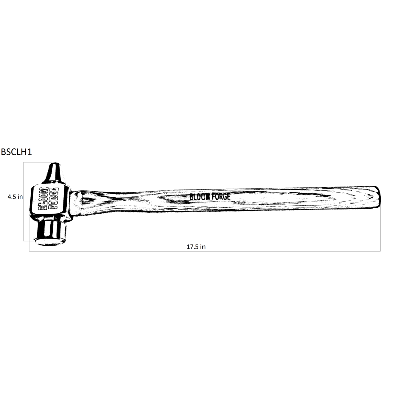 BSCLH1 800px