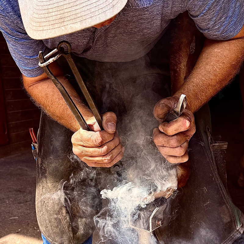 Bloom Forge Hot Fit Lock Tong
