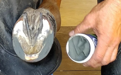 FootPro CS PLUS Hoof Treatment