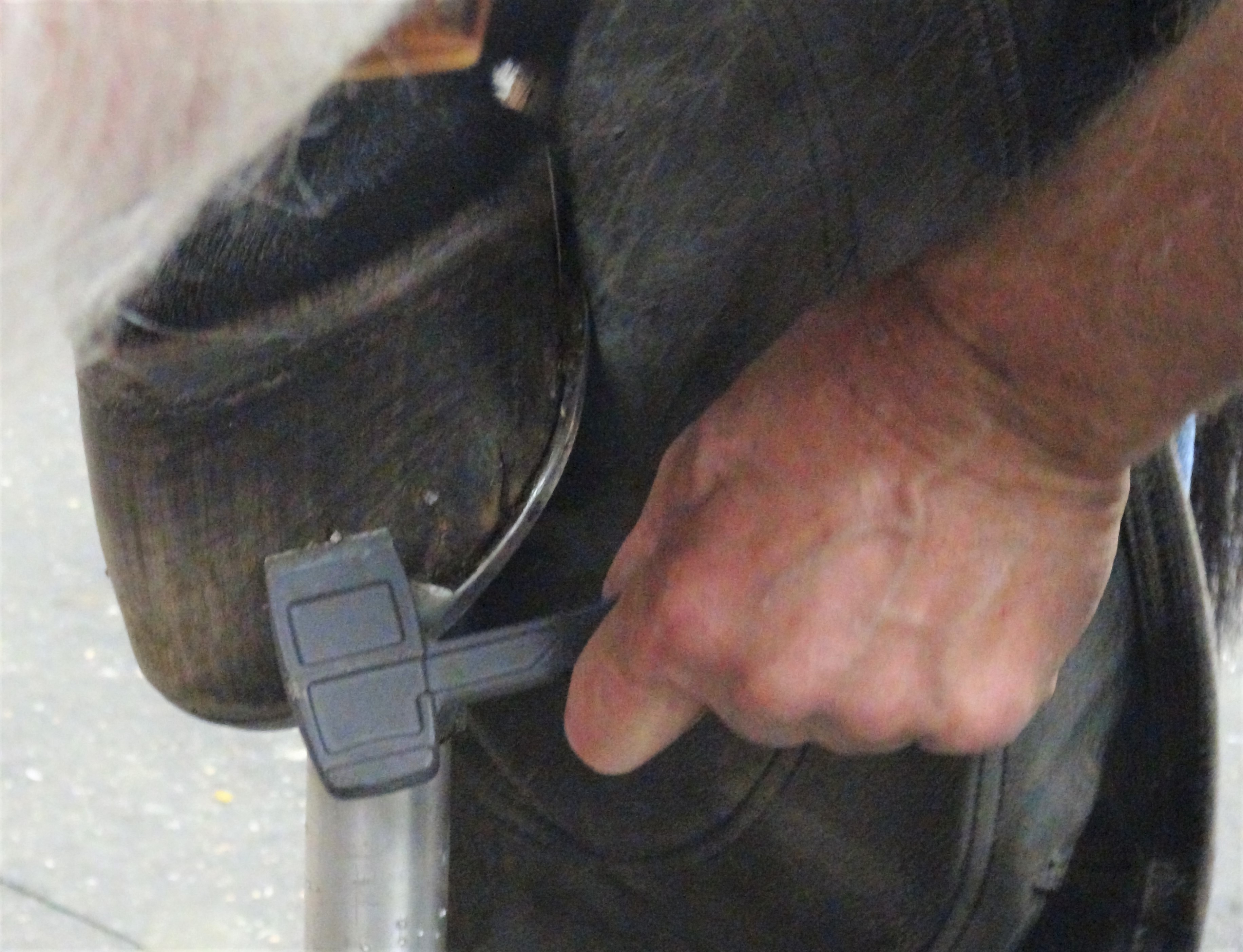 Diamond Clinch Cutter