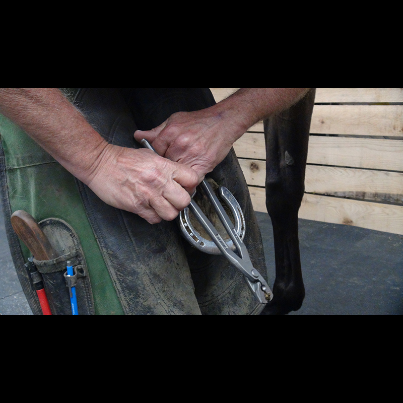 Diamond 12" Crease Nail Puller