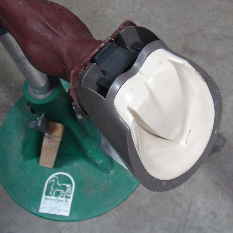 Diamond Hoof Model 4 800px