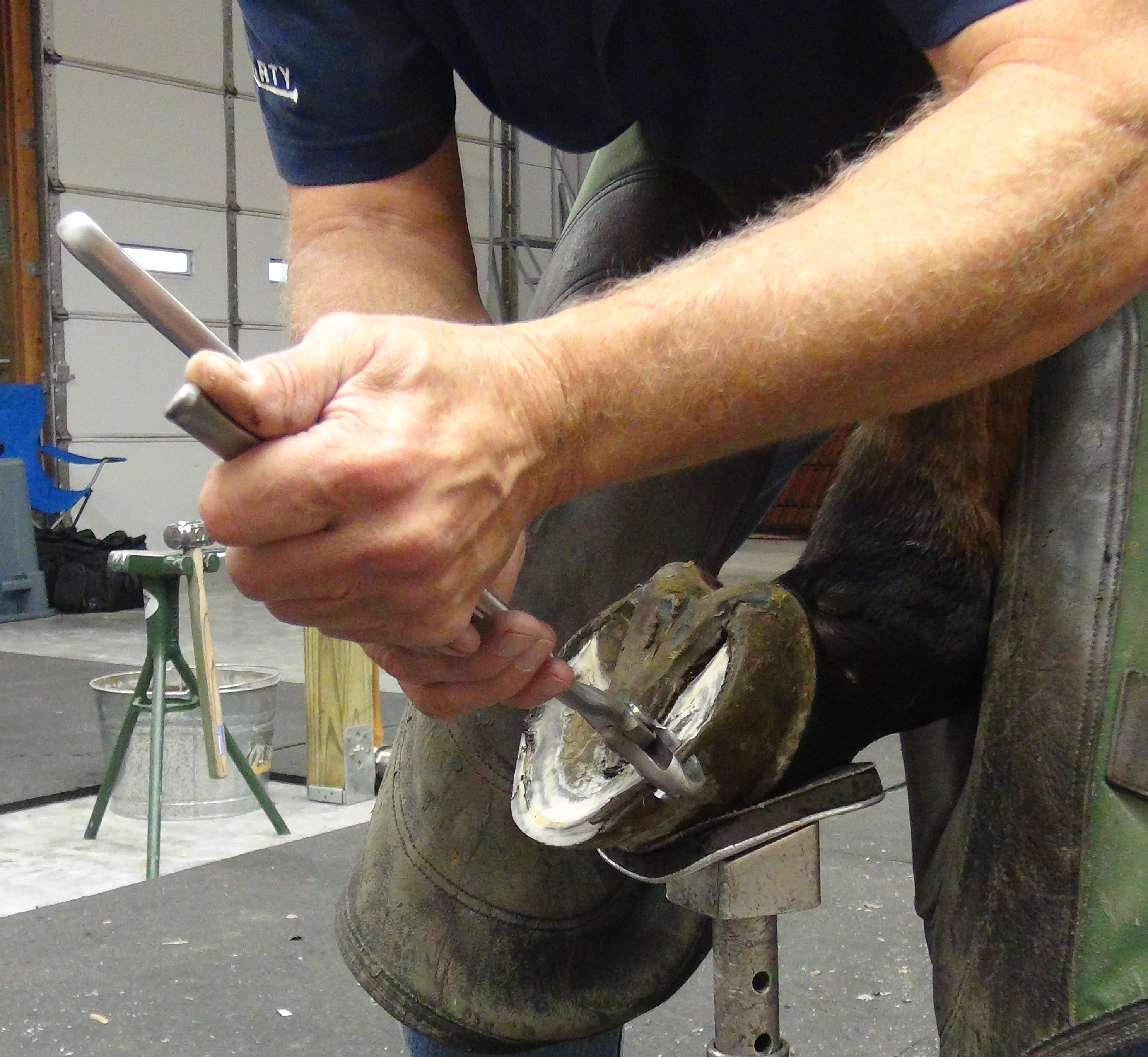 FootPro 15" Nipper Polished