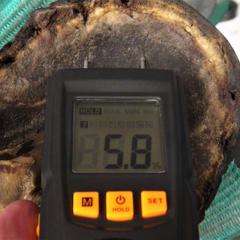 FootPro Moisture Meter 
