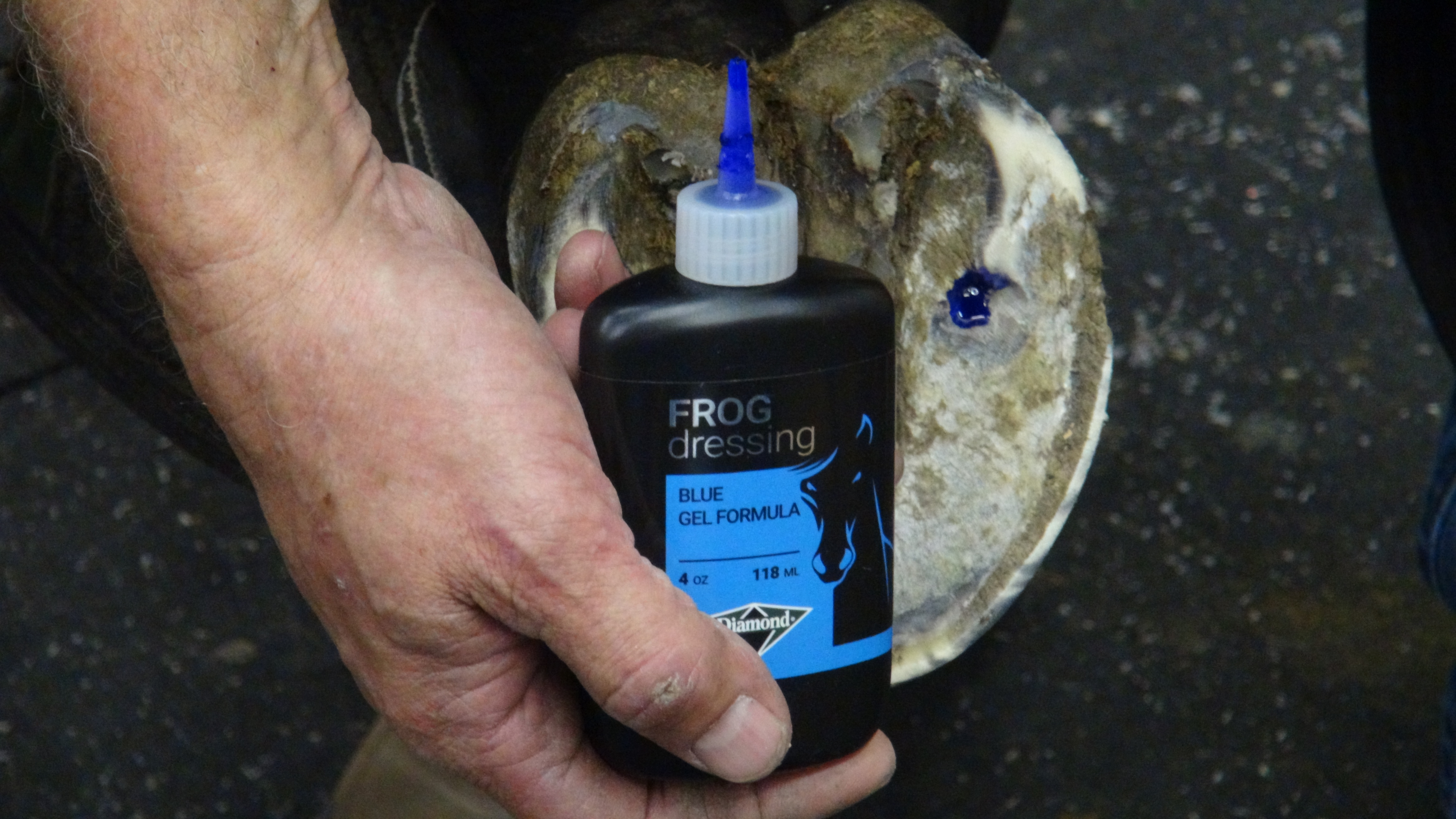 Diamond Frog Dressing