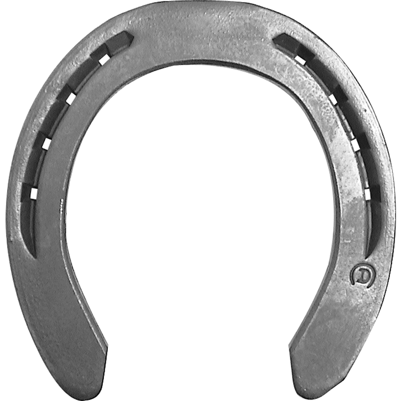 Meister TCfront bw 800px