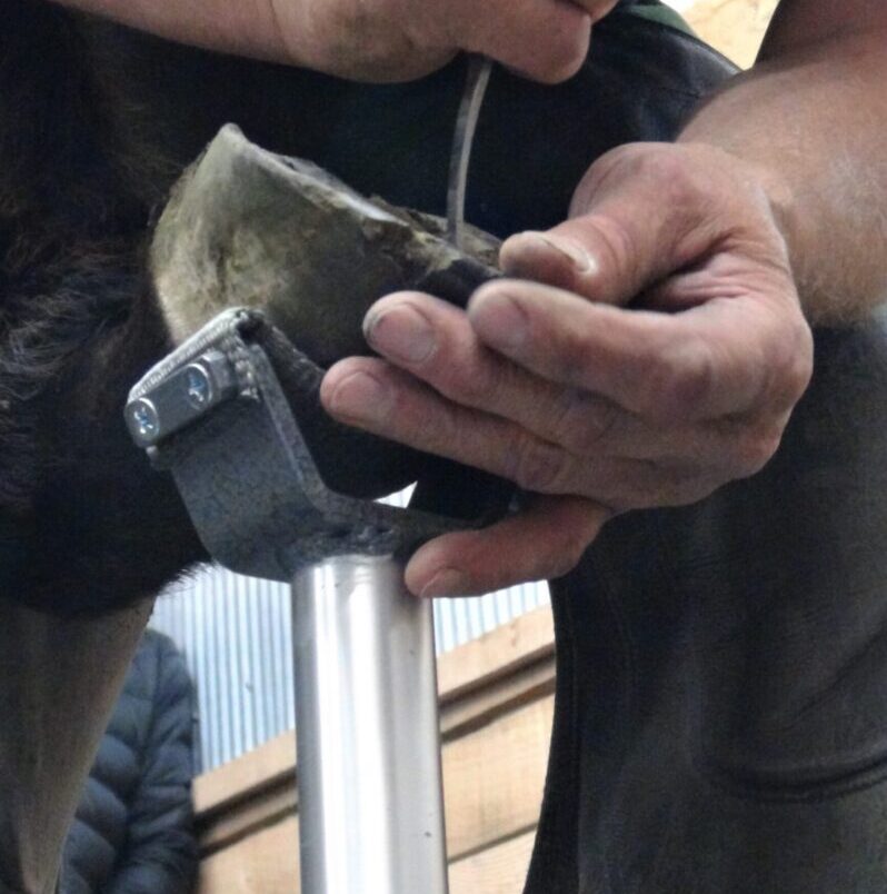 Hoofjack Mini Cradle with 11" post