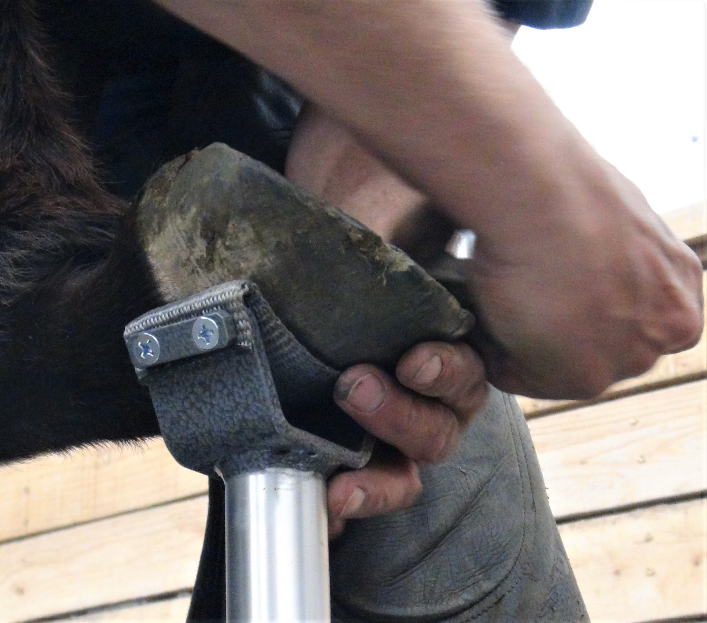 Hoofjack Mini Cradle with 11" post