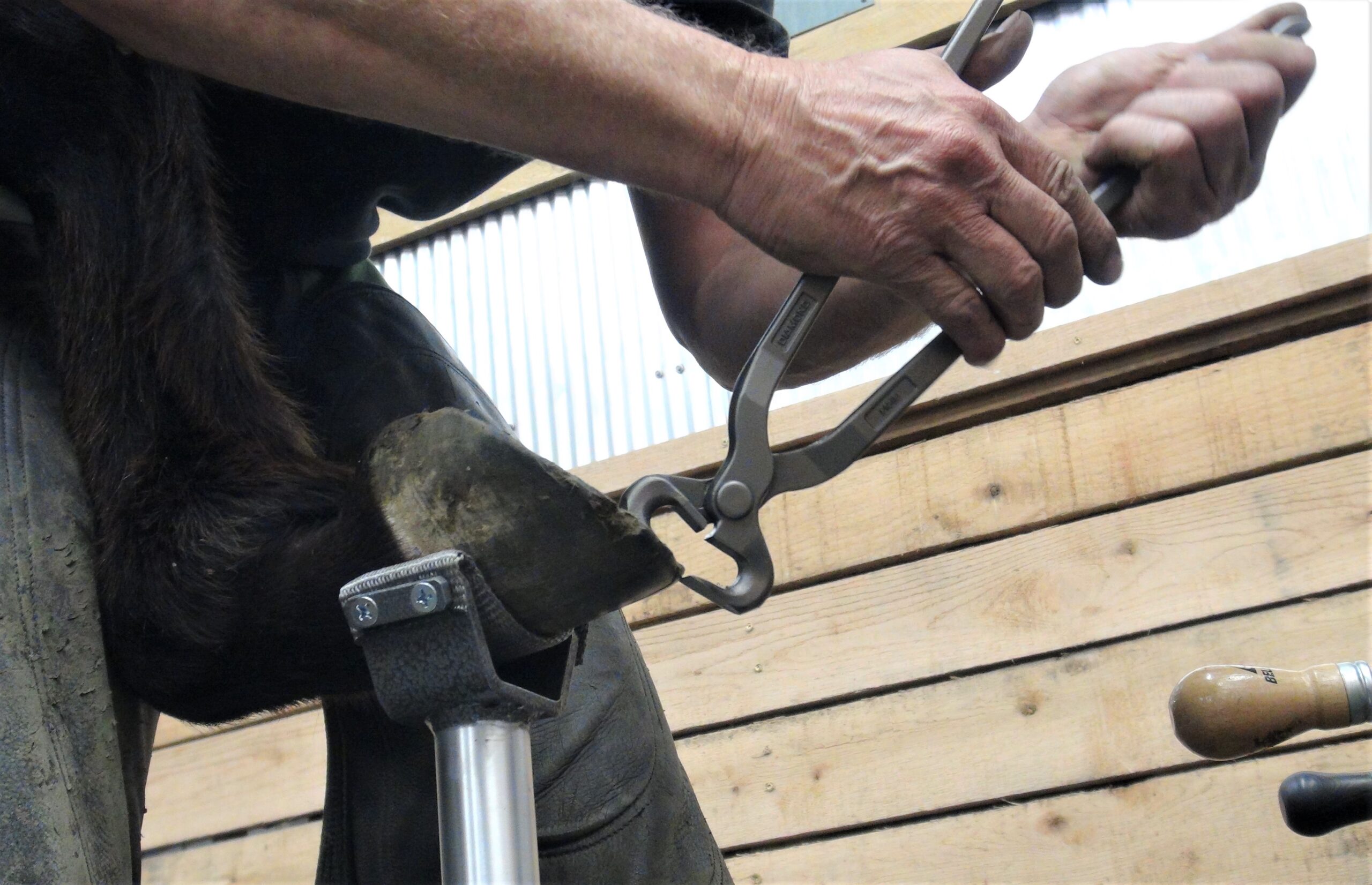 Hoofjack Mini Cradle with 11" post