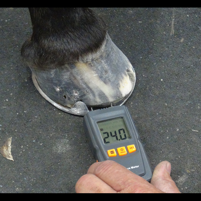 FootPro Moisture Meter 