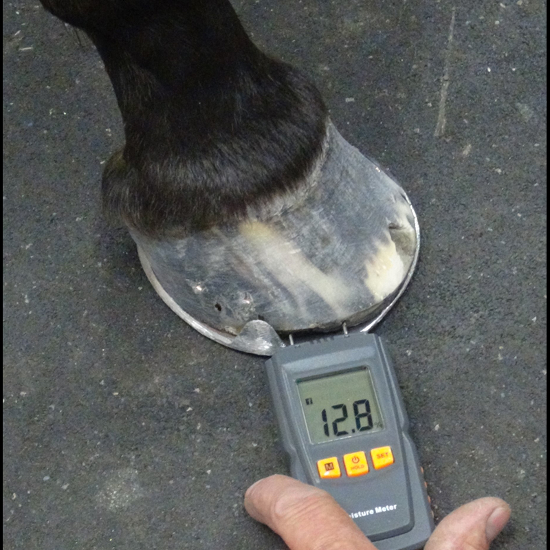 FootPro Moisture Meter 