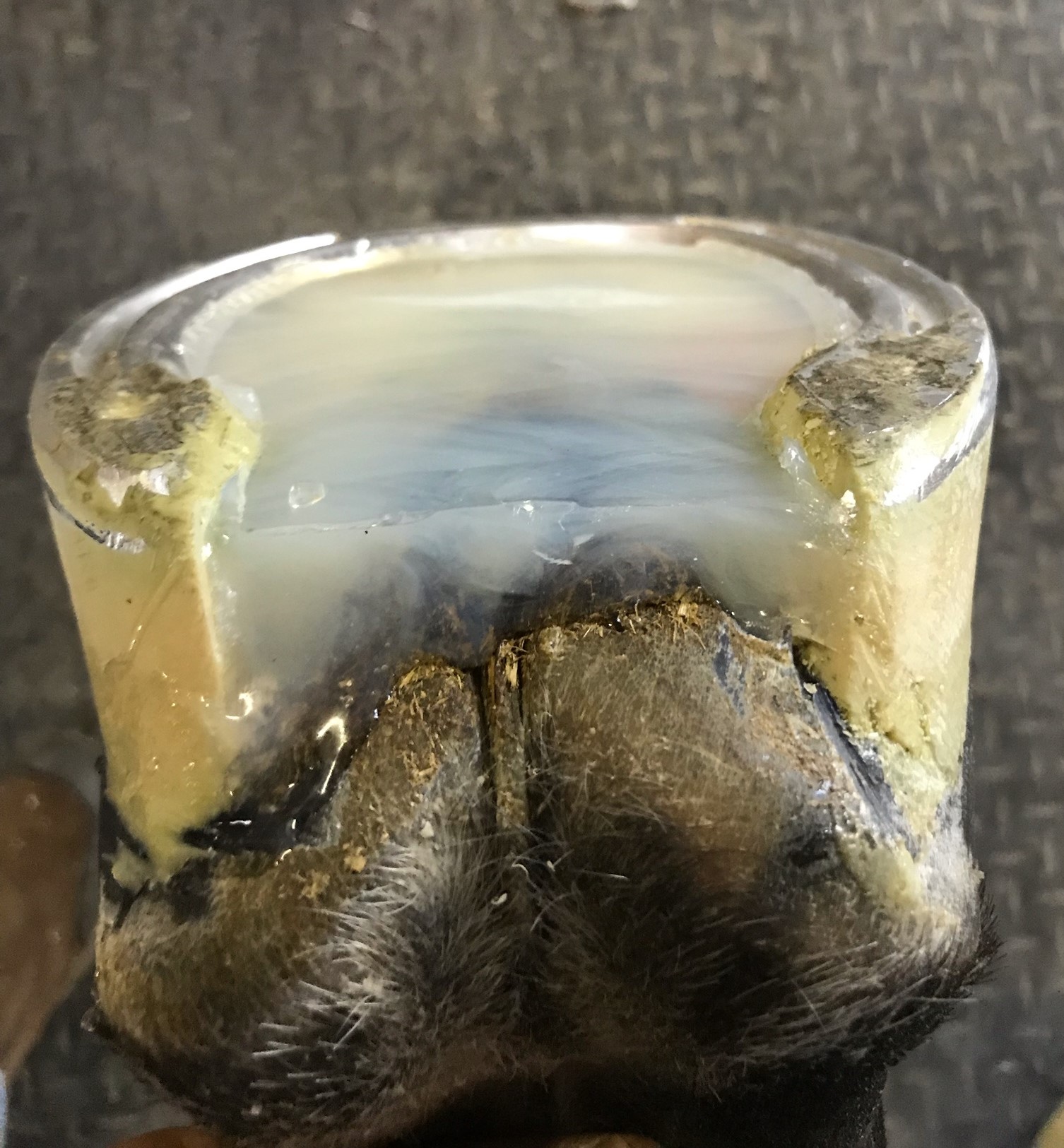 Equi-Pak Clear 210cc
