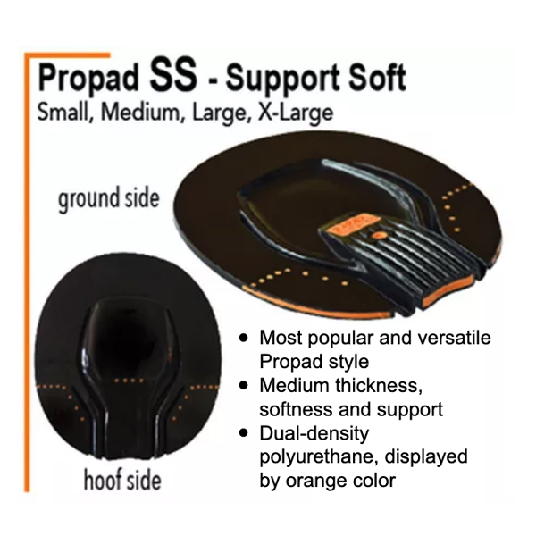 SS