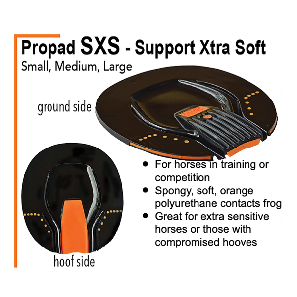 SXS