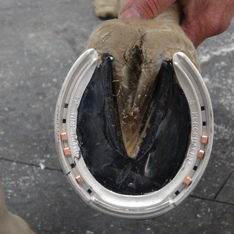 Sole-Guard 210cc