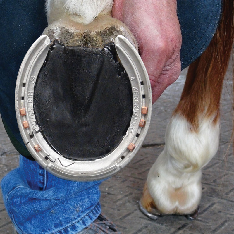 Sole-Guard 210cc