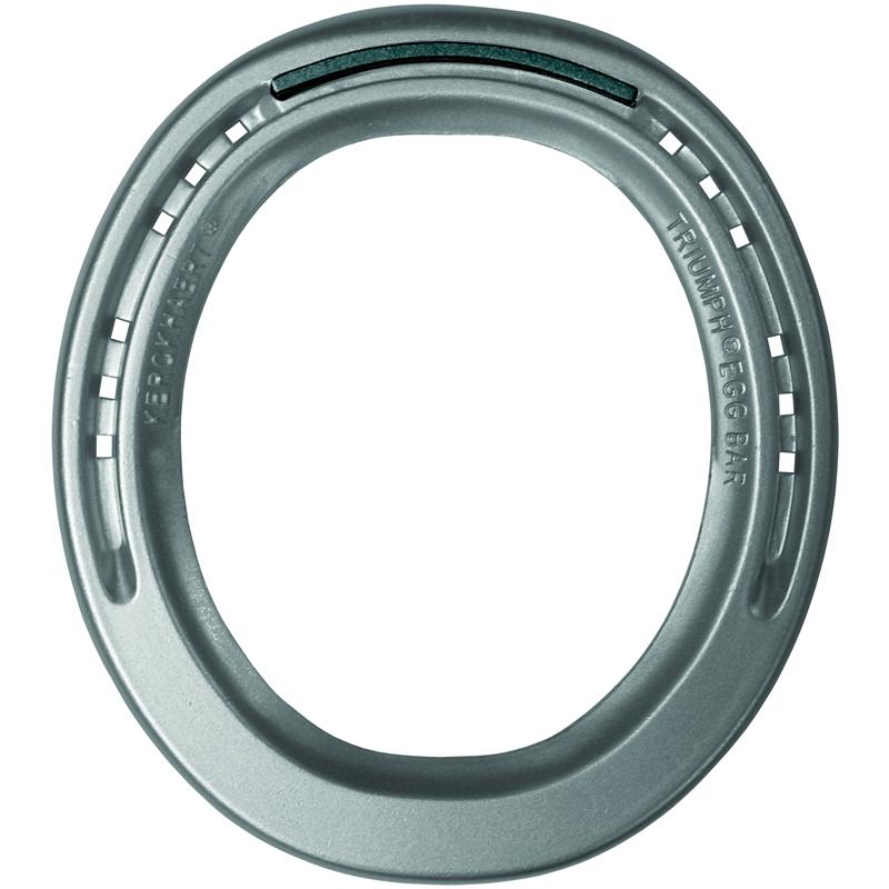 Aluminum Triumph Eggbar 000 QC (10 pair)