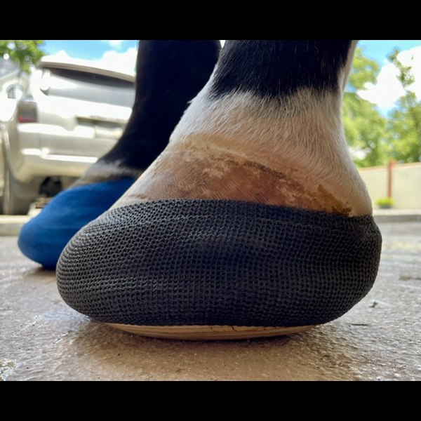 FootPro Wooden Shoe 2 - 2pr bx